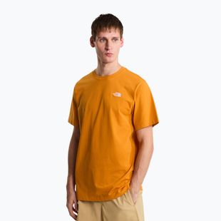 Maglietta da uomo The North Face Evolution Simple Dome dust orange