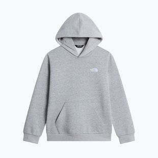 Felpa bambini The North Face Evolution Simple Dome Pullover Hood tnf pale grey heather