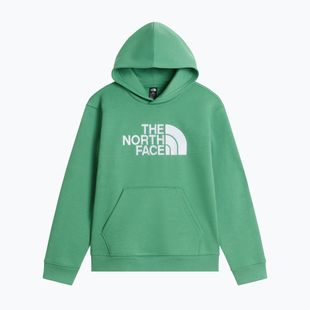 Felpa bambini The Noryh Face Essential Drew Peak Hoodie dimmed algae