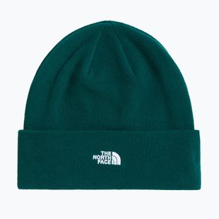 Cappello invernale The North Face Norm Beanie hunter green