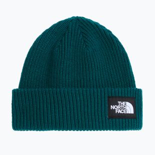 Cappello invernale The North Face Salty Lined pacific teal