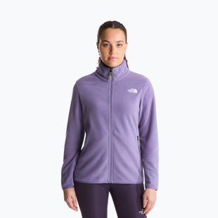 Pile uomo The North Face Glacier Fleece grounded plum