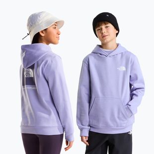 Felpa bambini The North Face Evolution Box NSE Pullover Hoodies pale plum
