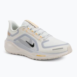 Scarpe da corsa uomo Nike Pegasus 41 GTX sail/football grey/sundial/ashen slate