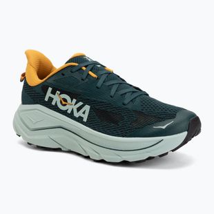 Scarpe da corsa uomo HOKA Challenger 8 bay leaf/sage