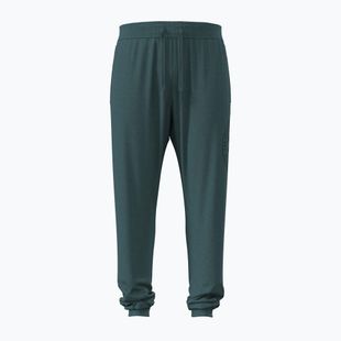Pantaloni da uomo Under Armour Rival LW Graphic Jogger rack green/black