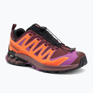 Salomon XA Pro 3D V9 GTX scarpe da corsa da donna tawnyp/redora