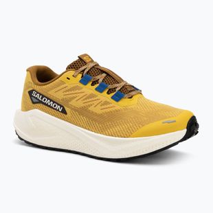 Scarpe da corsa da uomo Salomon Aero Blaze 3 GRVL senape piccante/ghiaccio vaniglia/blu nautico