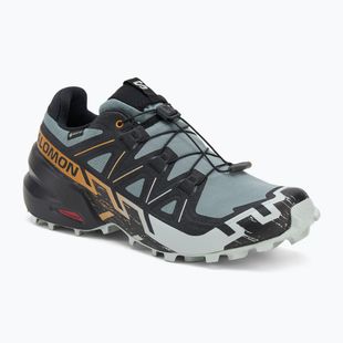 Scarpe da corsa da uomo Salomon Speedcross 6 GTX trooper/black/wood thrush