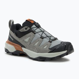 Scarpe da trekking da uomo Salomon X Ultra 360 Leather GTX ferro battuto / sedona sage / sierra