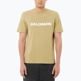 Maglietta da uomo Salomon Logo grigio verde