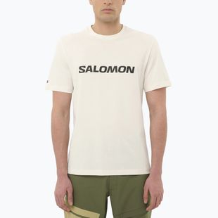 Maglietta da uomo Salomon Logo whisper white
