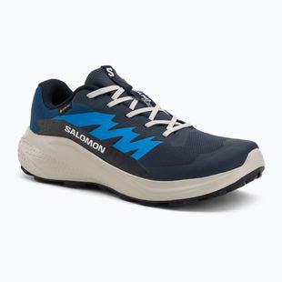 Scarpe da corsa da uomo Salomon Alphaglide GTX blue night/lunar rock/french blue