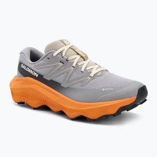 Scarpe da corsa da uomo Salomon Ultra Flow 2 GTX gull/turmeric/white pepper