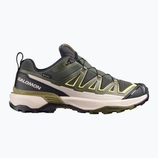 Scarpe da trekking da uomo Salomon X Ultra 360 Edge GTX peat/olive night