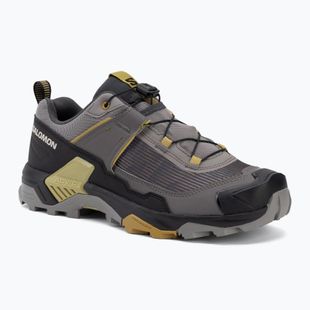 Scarpe da trekking da uomo Salomon X Ultra 5 cloudburst/black/willow