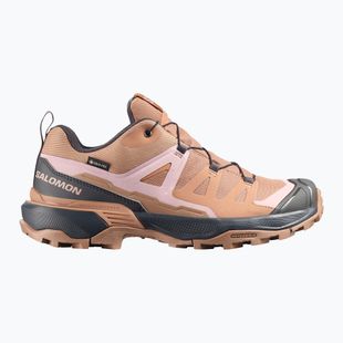 Scarpe da trekking da donna Salomon X Ultra 360 GTX burro/asphalt