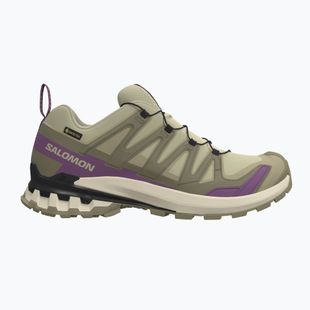 Scarpe da corsa donna Salomon XA Pro 3D V9 GTX bog/aloe