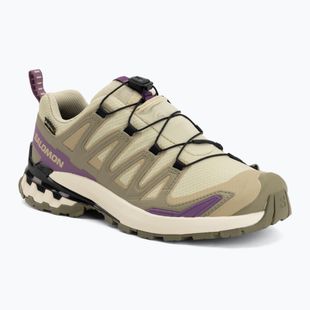 Scarpe da corsa donna Salomon XA Pro 3D V9 GTX bog/aloe