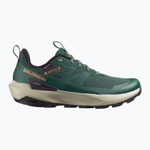 Scarpe da trekking da uomo Salomon Elixir Activ GTX scarab/green gable