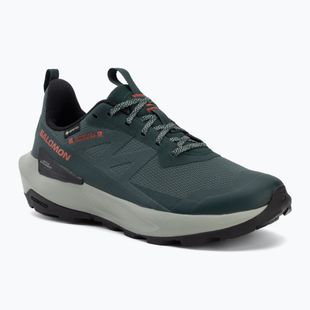 Scarpe da trekking da uomo Salomon Elixir Activ GTX scarab/green gable