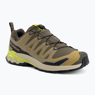 Scarpe da corsa uomo Salomon XA Pro 3D V9 GTX grape leaf/aloe