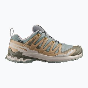 Scarpe da corsa uomo Salomon XA Pro 3D V9 GTX sedona sage/brilliant olive