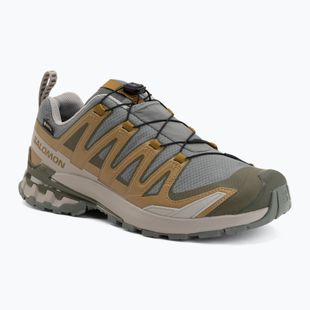 Scarpe da corsa uomo Salomon XA Pro 3D V9 GTX sedona sage/brilliant olive