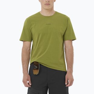 T-shirt da uomo Salomon Trackline cardamon seed