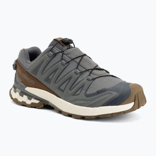 Scarpe da corsa uomo Salomon XA Pro 3D V9 GTX Lifelong sedona sage/coyote brown