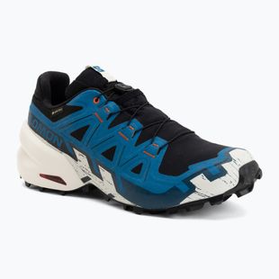 Scarpe da corsa uomo Salomon Speedcross 6 GTX black/mykonos blue