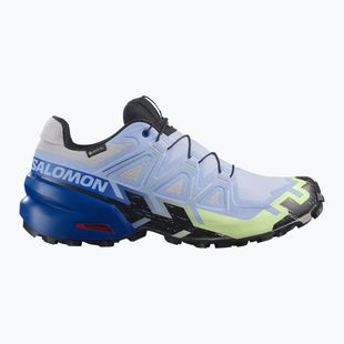 Scarpe da corsa uomo Salomon Speedcross 6 GTX Icon brunnera blue/surf the web