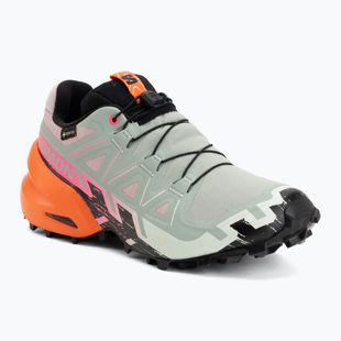 Scarpe da corsa donna Salomon Speedcross 6 GTX Icon black/green milieu