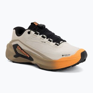 Scarpe da corsa donna Salomon Genesis 2 GTX rainy day/desert tan