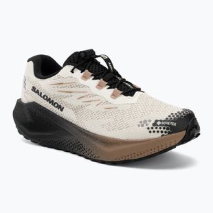 Scarpe da corsa uomo Salomon Aero Blaze 4 GRVL GTX vanilla ice/black