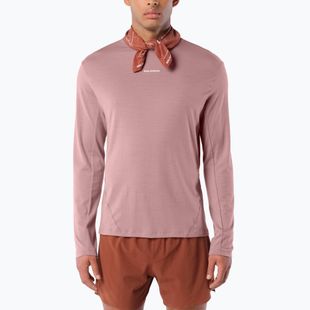 Longsleeve da running uomo Salomon Sense Merino Tee LS antler