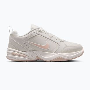 Scarpe da allenamento da uomo Nike Air Monarch IV light bone/spruce aura/sanddrift