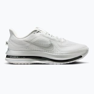 Scarpe da corsa uomo Nike Pegasus Premium photon dust/metallic Silver/black