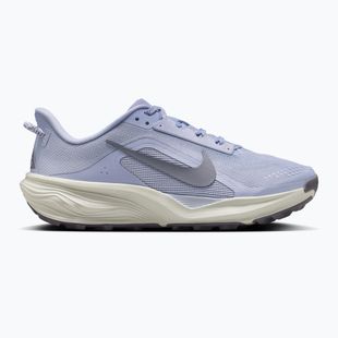 Scarpe da running da donna Nike ACG Pegasus Trail ghost/mineral slate/cement grey