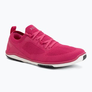Scarpe barefoot da donna Xero Shoes Nexus Knit fuchsia purple