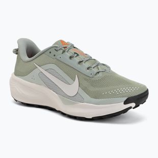 Scarpe da running da uomo Nike ACG Pegasus Trail jade horizon/light silver/phantom