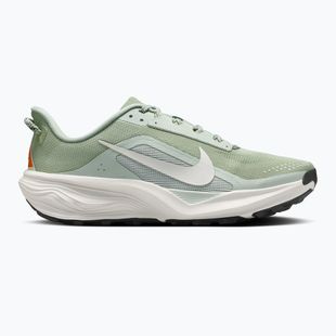 Scarpe da running da uomo Nike ACG Pegasus Trail jade horizon/light silver/phantom