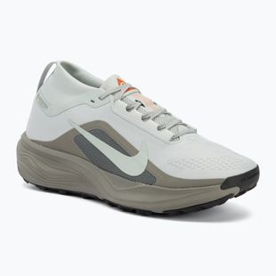 Scarpe da corsa uomo Nike ACG Pegasus Trail GORE-TEX Light Silver/Light Army/Light Silver
