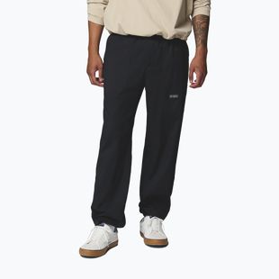 Pantaloni da trekking da uomo Columbia Landroamer Scout black