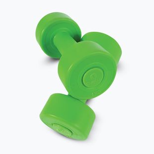 Set di manubri 1 kg Sveltus Cement Dumbbell 2 pcs green