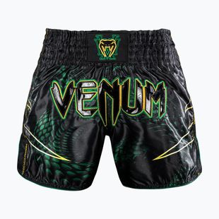 Pantaloncini da allenamento da uomo Venum Matupa Muay Thai black/green/gold