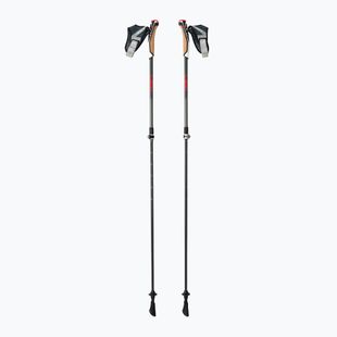 Bastoncini da nordic walking LEKI Instructor Lite nero e argento 65326341
