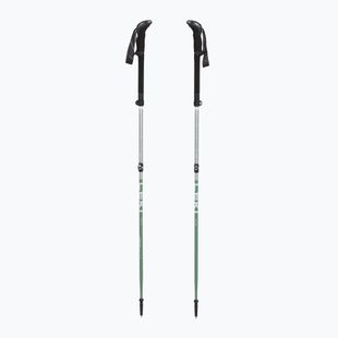 Bastoncini da trekking LEKI Makalu FX TA silver/greygreen/white