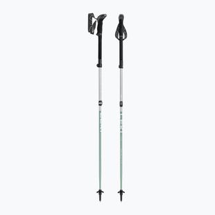 Bastoncini da trekking LEKI Makalu FX TA silver/greygreen/white
