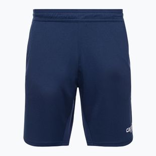 Pantaloncini da calcio da allenamento Capelli Uptown Adulto navy/bianco